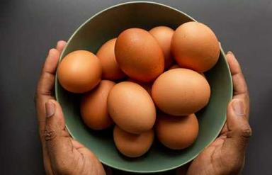 Brown Colour Poultry Egg For Bakery Use And Human Consumption Egg Origin: Chicken