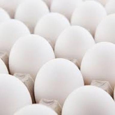 Fresh White Eggs Rich With High Protein For Home And Restaurant, Egg Size 2 Inch Egg Size: 27 Oz