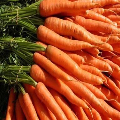 Long High Fiber Chemical Free Healthy Natural Rich Taste Orange Fresh Carrot