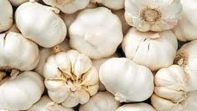 Natural Taste White Organic Fresh Garlic Enriched With Vitamin B6 And Manganese Moisture (%): 5.20.