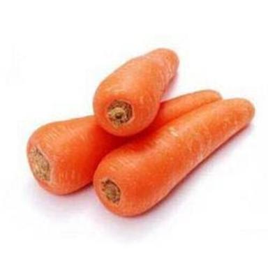 Chemical Free High Fiber Healthy Natural Rich Taste Orange Fresh Carrot