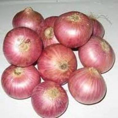 Round & Oval Enhance The Flavor Rich Healthy Natural Taste Fresh Red Onion