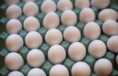  थोक मूल्य स्वस्थ और ताजा सफेद छिलके वाला अंडा, 50 ग्राम प्रोटीन से भरपूर वजन ग्रेड: भोजन 