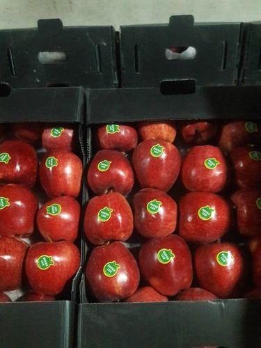 100% Pure and Natural Fresh Red Apple