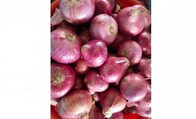 Good For Health Pesticide Free 100% Organic Medium Size Red Onions (40-69 Mm) Moisture (%): 65%
