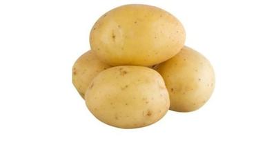 Healthy And Nutritious Rich Source Dietary Fiber Brown Fresh Chipsona Potato Moisture (%): 80%