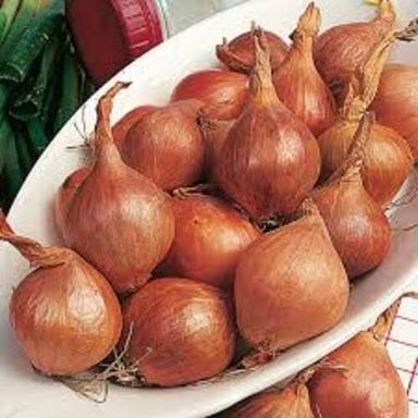 Round & Oval Enhance The Flavor Rich Healthy Natural Taste Red Fresh Shallot Onion