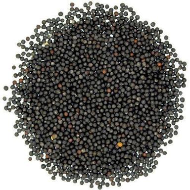 Chemical Free Healthy Natural Rich Fine Taste Black Mustard Seeds Shelf Life: 1 Years