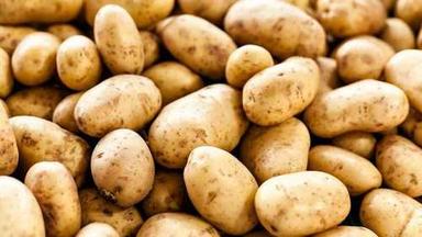 Round Fresh Natural Potato For Good In Taste, Healthy Substance