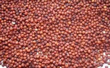 Export Quality High Quality Cleaned And Dried Organic Red Ragi Millet Fat: 1.7  Milligram (Mg)