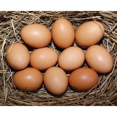 Protein And Nutrients Rich Brown Colour Farm Grown Country Chicken Hatched Eggs Egg Size: Medium