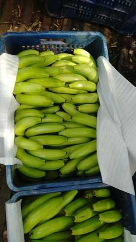 100% Organic And Farm Fresh Non Peeled Sweet Green Raw Banana Origin: India