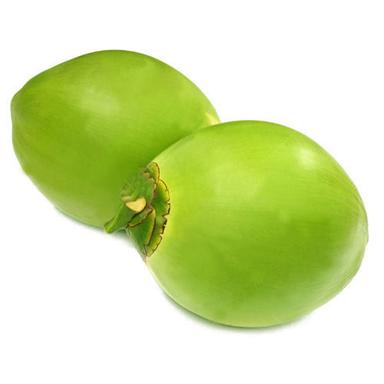 सामान्य स्वादिष्ट एंटी-इंफ्लेमेटरी गुण स्वस्थ और हरे रंग का कोमल नारियल 