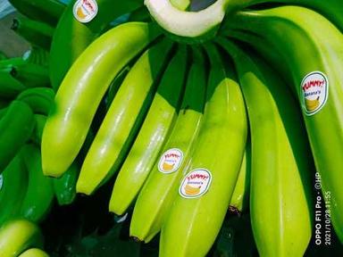 Stomach Friendly Rich Vitamins 100% Organic Green Banana