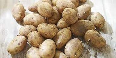 A-Grade Preservatives-Free Nutrition Enriched Organic Fresh Raw Potato 