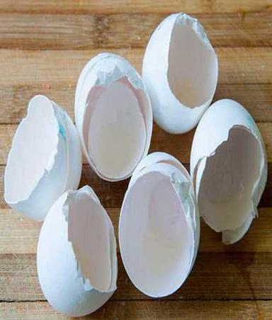 Poultry Egg Shell