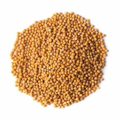 Common Dried And Cleaned Yellow Natural & Pure Mustard Seeds For Cooking