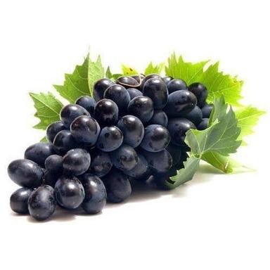 Organic Export Quality Wholesale Price 100% Fresh And Naturally Grown Black Grapes