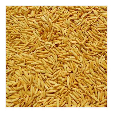 Wholesale Price Organic Brown And Natural Paddy Rice With Nutrients Value Broken (%): 1