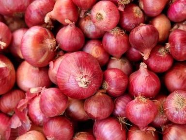 Fresh And Natural Onion With Pungent Aroma And Flavour With 2-3 Days Shelf Life Moisture (%): 80%