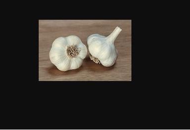 Round Artichoke Fresh Garlic With Protein 6.36 G/100 G And 6 Months Shelf Life And 63% Moisture