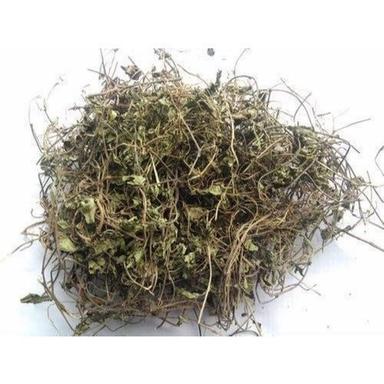Indian Organic Dried Brahmi (Bacopa Monnieri) For Ayurvedic Medicinal Use Direction: As Per Physician