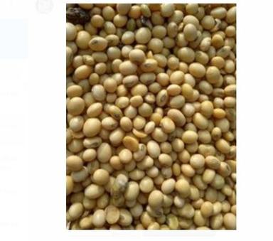 Organic 1 Kg 100% Fresh And Premium Quality Soybean Seeds For Agriculture Use