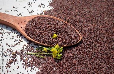 Brown Impurity Free 100% Pure And Natural Mustard Seeds