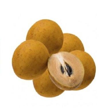 Brown Healthy And Fresh Chikoo Fruit With High Nutritious Value And Taste