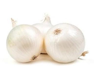 Medium Size A Grade 100% Pure And Natural Fresh Organic White Onion Shelf Life: 4 Days