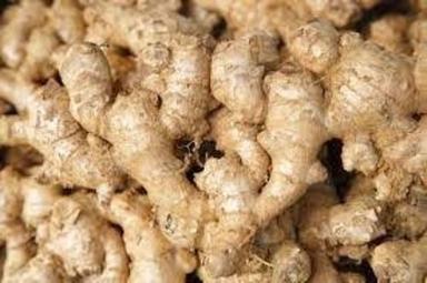 1Kg Brown Color Soft Fresh Ginger Used For Cooking Shelf Life: 1 Years