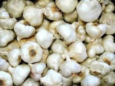 Round White Color Fresh Garlic Used For Lowers High Cholesterol And Blood Pressure