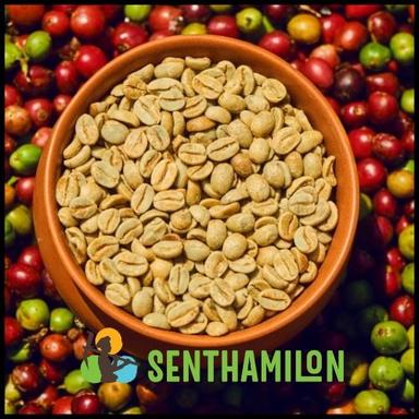 Arabica Green Coffee Bean - Plantation Aaa Natural