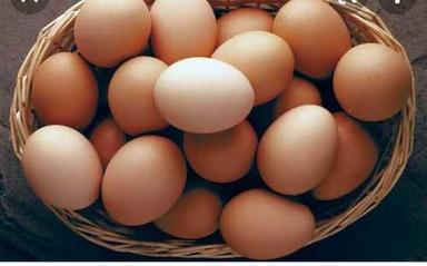 Poultry White Fresh Egg(4-8 Grams Protein) Egg Origin: Chicken
