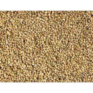 Natural Gluten Free Dried Organic Guar Gum Seeds For Agriculture And Cooking