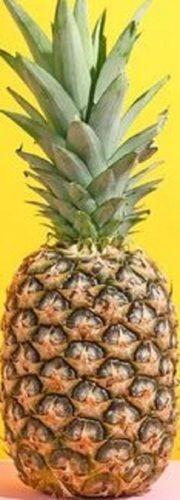 Green 100% Natural And Farm Fresh A Grade Pineapple With Amazing Taste