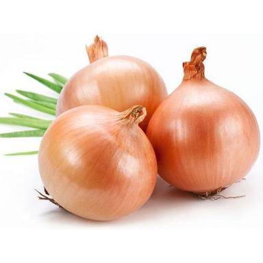 A-Grade Nutrition Enriched Round Pure Fresh And Organic Onion Vegetable Shelf Life: 3 Days