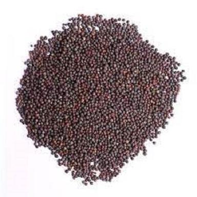 Black 100% Pure Mustard Seeds