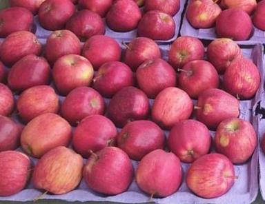 Red A Grade And Indian Origin Fresh And Organic Kashmiri Apple With High Nutritious Values
