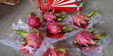 Red Pure And Fresh Sweet Dragon Fruit With High Nutritious Value And Taste