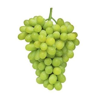 Organic 100 Percent Fresh Green Grapes, Seedless Good For Digestion And Weight Reduction