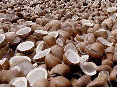 नारियल तेल और विभिन्न व्यंजन बनाने के लिए सामान्य परिपक्व सूखा नारियल कोपरा 