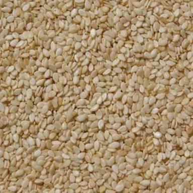 Common White Natural Pure Dried And Cleaned Hulled Sesame Seeds For Good Health