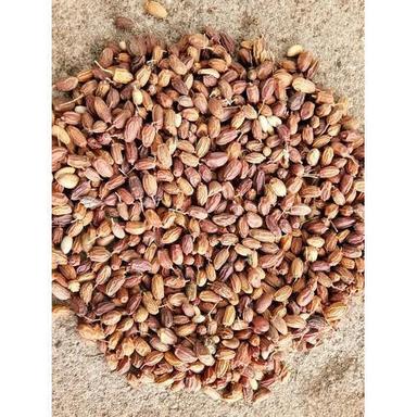 Brown Pure And Natural Neem Seeds With 12 Months Shelf Life And 100% Purity