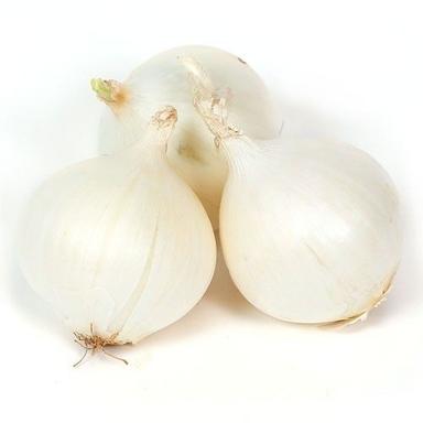 100% Pure Natural Organic And Healthy White Fresh Onion For Cooking Shelf Life: 3 Days