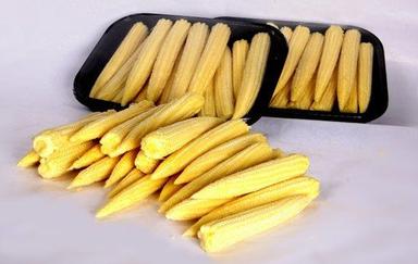 Small Size Yellow Color Vitamins, Minerals And Iron Enriched Fresh Baby Corn For Good Digestion Crop Year: Current Years Years