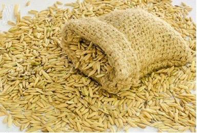 Rich Taste A Grade 100% Pure Brown Colour Long Grain Basmati Paddy Rice Crop Year: 6 Months