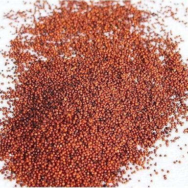 Organic 100% Gluten Free Whole Dried Red Finger Millet (Ragi) For Cooking And Health Supplement