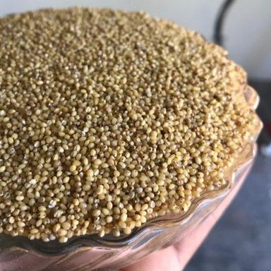 Organic Whole Dried Gluten Free Unpolished Brown Machine Cleaned Foxtail Millet