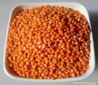 Red Semi Round Natural And Raw Organic Dry Masoor Dal With High Nutritious Value Origin: Indian
